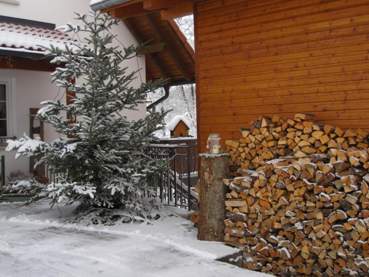 Hotel Haus Hilda Fechtig à Ühlingen-Birkendorf Extérieur photo